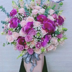 Hoa Khai Trương- HKT_232