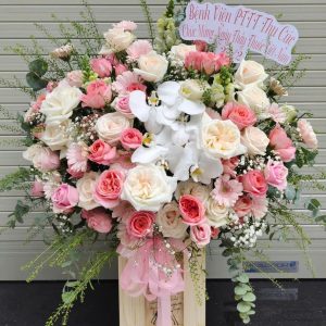 Hoa Sinh Nhật- SN_106