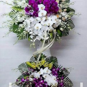 Hoa Tang Lễ-TL_301