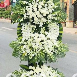 Hoa Tang Lễ-TL_304