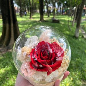 Hoa Hồng Vĩnh Cửu Trong Lồng Kính Đỏ